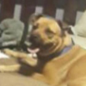 Meet your Posher, Andres